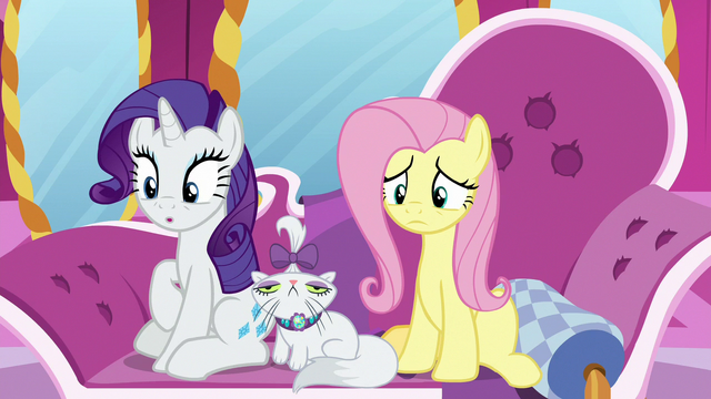 File:Rarity awestruck; Fluttershy concerned S7E5.png