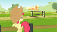 Aj practice.png