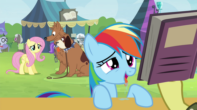 File:Fluttershy looking at Rainbow Dash S4E22.png