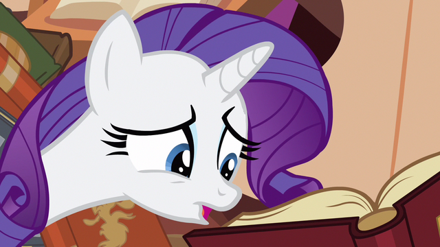 File:Rarity the S3E5.png