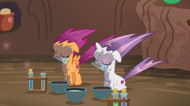 File:Sweetie Belle and Scootaloo affected by the explosion S6E4.png