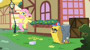 Fluttershy startled by Pinkie Pie in hay bale costume S1E25.png