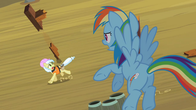 File:Rainbow Dash Helping Ambrosia S2E08.png
