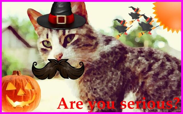 File:Are you serious?.jpg