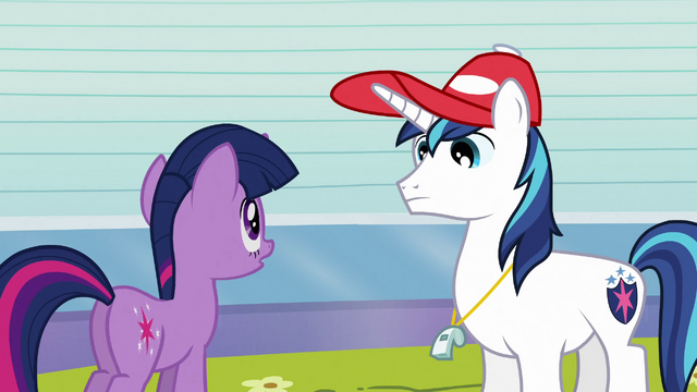 File:Shining Armor talking with Twilight S3E12.png