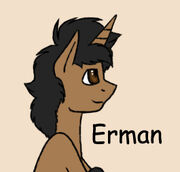 1Erman