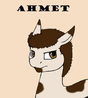 1ahmet copy