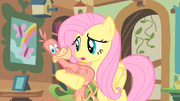 Fluttershy caring for Philomena S01E22.png