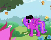 PonyWithBackground