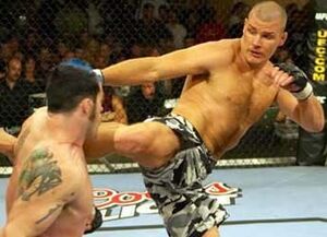 Bisping-haynes