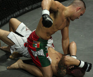 Eddie-alvarez-at-bellator-5-ground-n-pound