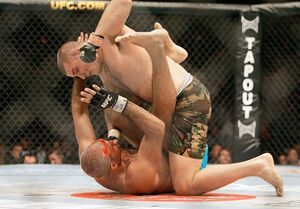 Sinosic bisping