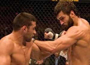 Arlovski-werdum