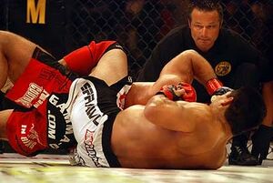 Shamrock baroni