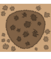 Harry-bo-footprints