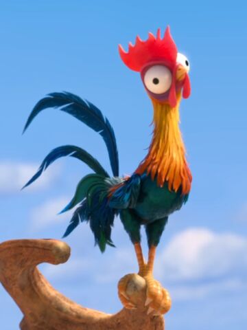 File:Heihei Infobox.jpeg