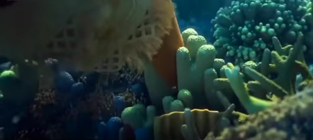 File:Moana-stuck-ocean.png