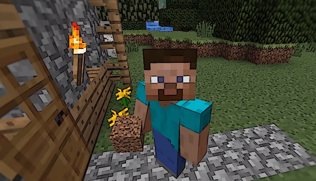 File:Steve's stare.png