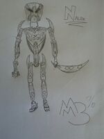 NalekDrawing