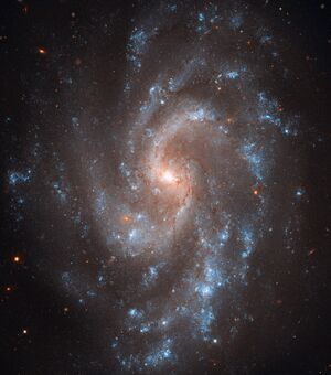 NGC5585large