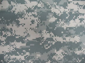 Agent Camo