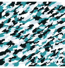 Arctic Tiger Camo