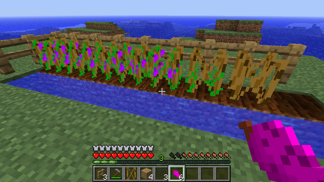 File:Row of Grapes.png