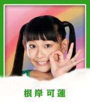 News large tacoyakirainbow negishi
