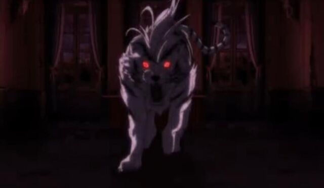 File:White Tiger.jpg