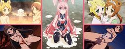 Volume 8