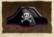 Pirate hat