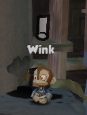 Wink