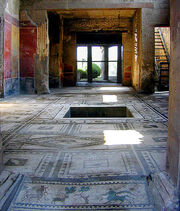 Proculus atrium courtesy VROMA
