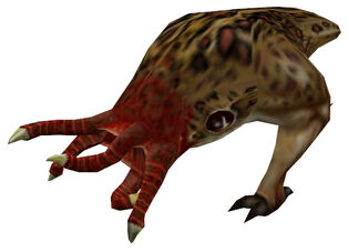 Bullsquid hd model