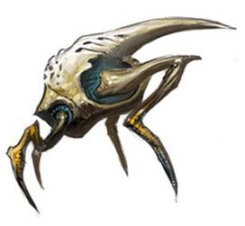 Metroid splinter