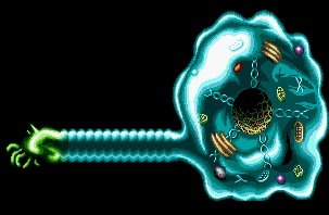 Bolboximage
