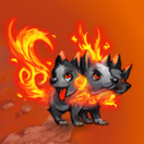 Chiberus