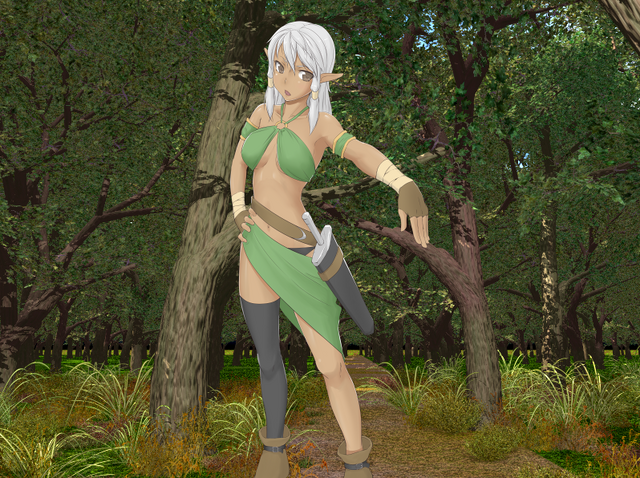 File:Darkelffencer.png