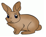 Króliczek.png