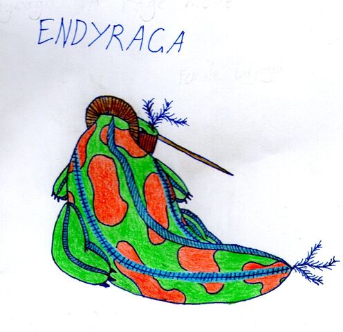 File:Endyraga.jpg