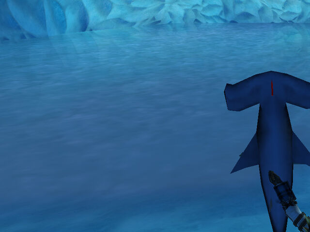 File:Random Hammerhead Shark on Frontier.jpg