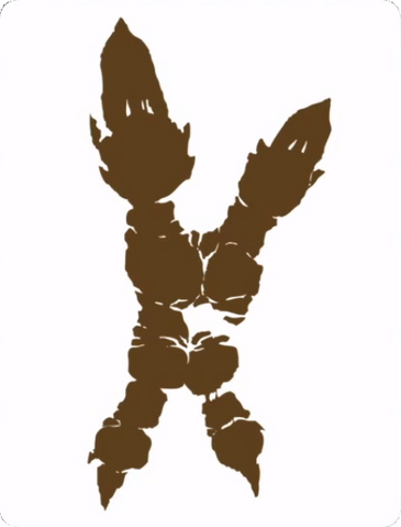 File:MH4U-Seregios Teaser.png