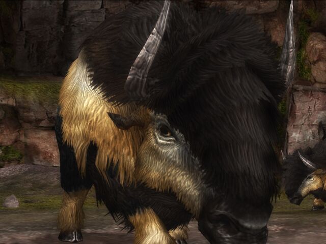 File:HG Bison.jpg
