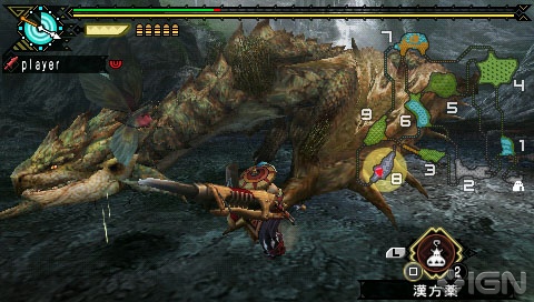 File:Rathian stare.jpg