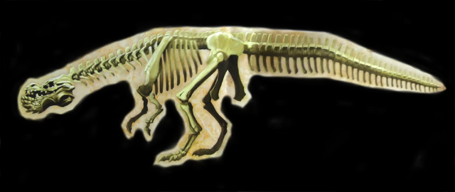 File:Deviljho skeleton.png