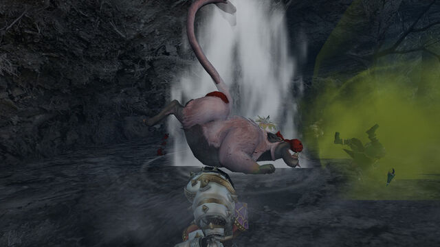 File:Congalala new move.jpg
