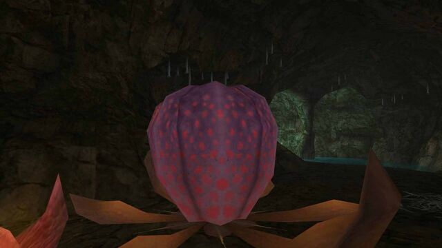 File:MHFGG-Flower Field Screenshot 014.jpg