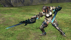 Dual Swords