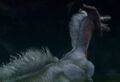 Thumbnail for version as of 22:23, December 1, 2010
