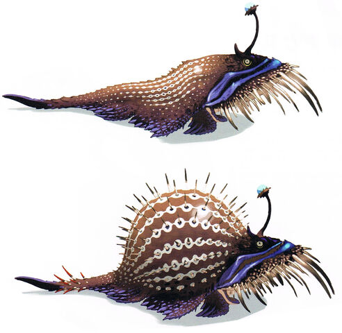 File:Gobul-Concept.jpg